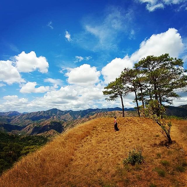 instagram image